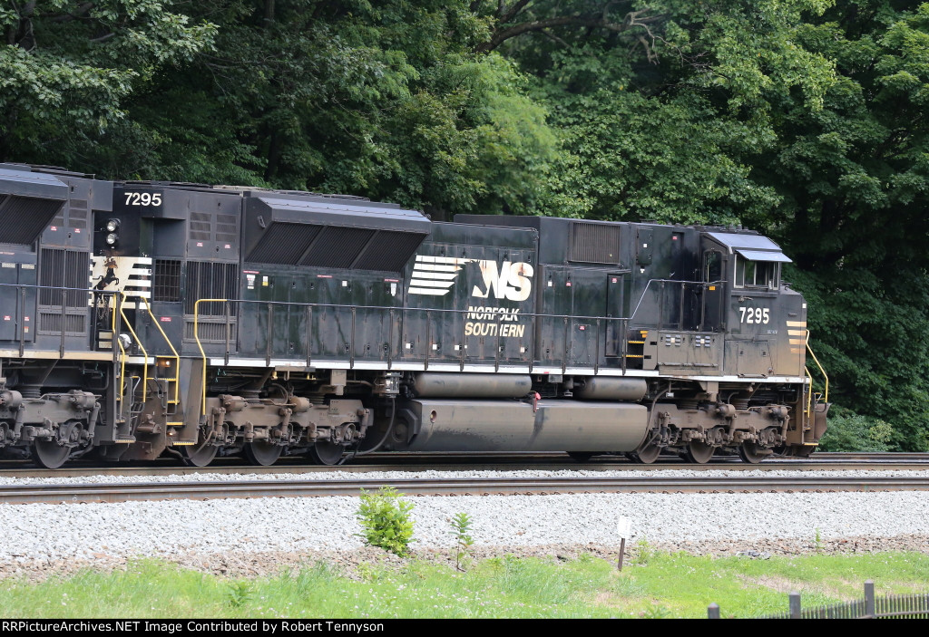 NS 7295